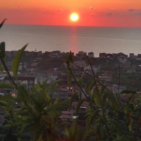 Dal Barone Bed & Breakfast Capo dʼOrlando Eksteriør bilde